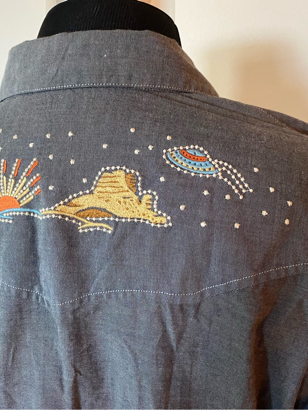 Rare Howler Brothers Gaucho Desert Paranormal UFO Snapshirt Men’s Large - Picture 7 of 9